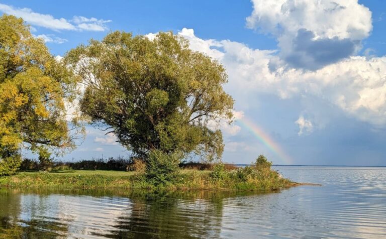 RCCF Awards Over $35,000 in Spring 2025 Grants to Support Local Impact